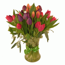 Totally Tulips 1