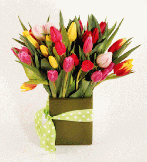 Totally Tulips 2